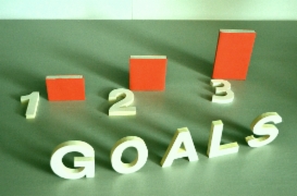Goals_1__2__3..JPG