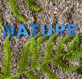 Nature_1.jpg