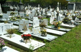 gravestones__graveyard_cemetory.JPG