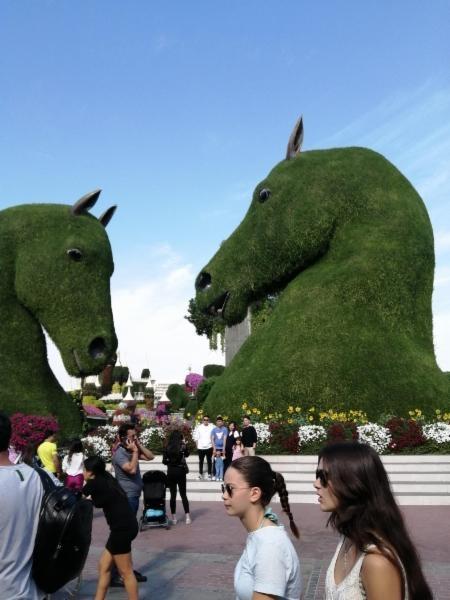 United_Arab_Emirates_giant_horses.jpg